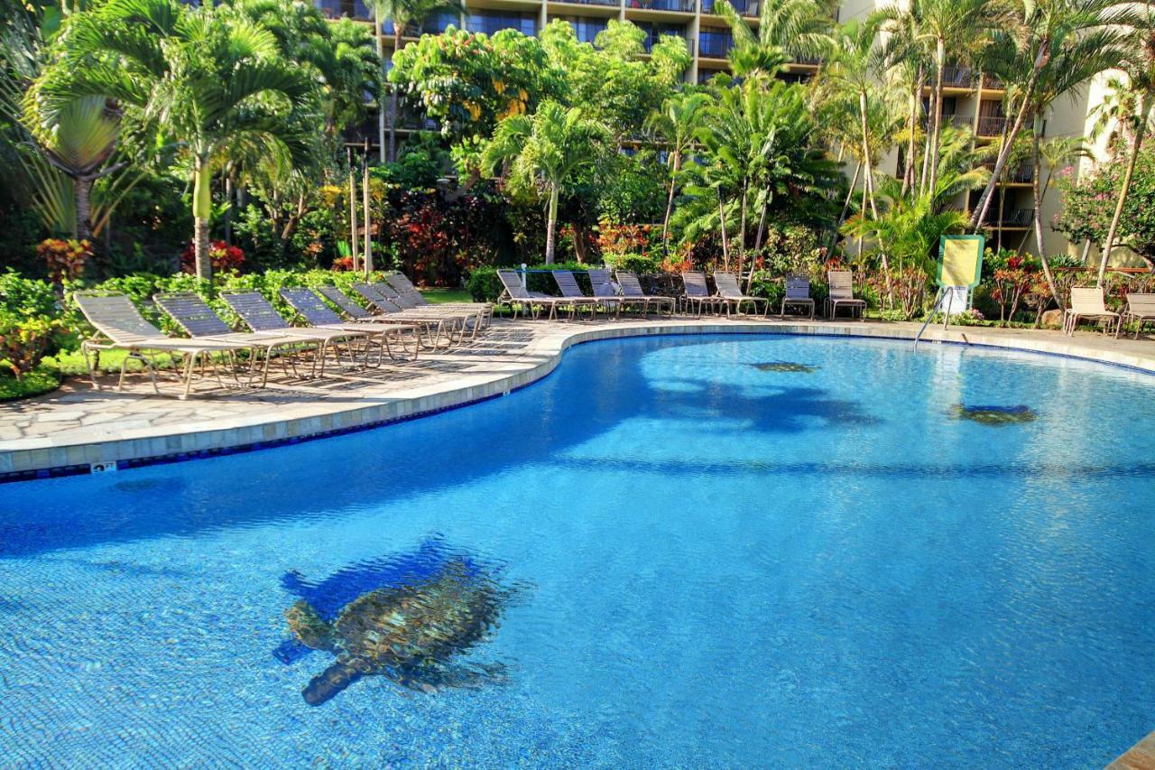 Kaanapali Shores 706 Extérieur photo